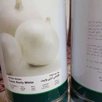 بذر پیاز فلات یک کیلو از کشت خودم اضاف اومد