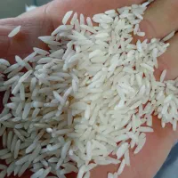 برنج هاشمی و دمسیاه درجه یک سورتینگ شده