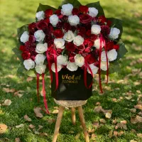 باکس مصنوعی|گل مصنوعی|زنجان, |دیوار