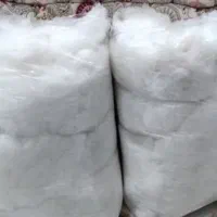 پنبه/معلوج کیلویی درجه 2