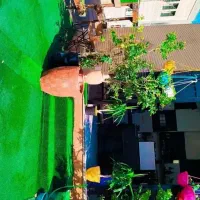 تجهیزات کافه ،مفت