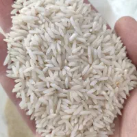 برنج ممان(مامان معطر)