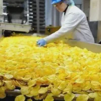 نیروی کار چیپس