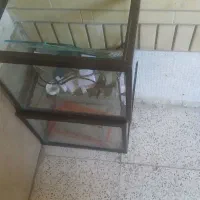 فروش سه عدد آکواریوم با لوازم جانبی|ماهی|شیراز, شهرک مفتح|دیوار