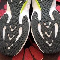 کتونی ..نو مدل نایک|کیف، کفش، کمربند|پرند, فاز ۶|دیوار