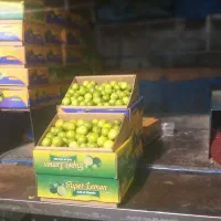 راهنمایی کنید لطفا ، ۳ واحد کارگاه مستقل