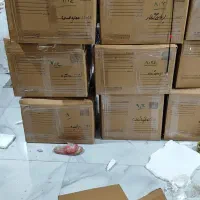 استخدام نیروی کار