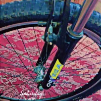 دوچرخه ویواا26