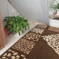 گلهای زیباوشاداب|گل و گیاه طبیعی|حمیل, |دیوار