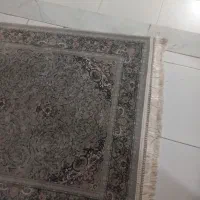 کناره دو متری|فرش|کرمانشاه, |دیوار