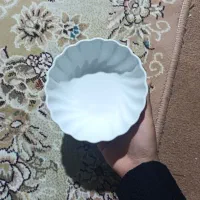 کاسه کوچک