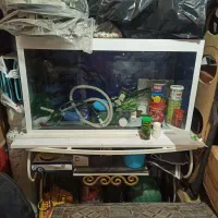 اکواریوم