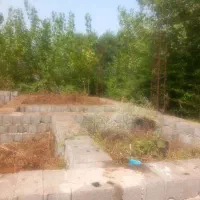 ۲۵۰ متر زمین درحد کف کرسی
