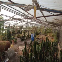 انبار 300متری شهرک جهان نما|اجارهٔ دفتر صنعتی، کشاورزی، تجاری|کرج, شهرک جهان‌نما|دیوار