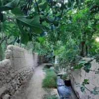 تهاتر-3000-متر-باغ-با-مغازه-یا-تجاری-درشهریار