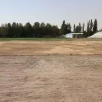 زمین-گردخون