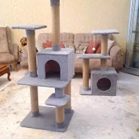 خانه گربه اسکرچر