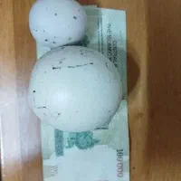 الماس اسیاب