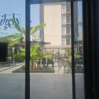 استخدامی کافه