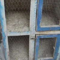 قفس گنجه جفت کنی دو طبقه