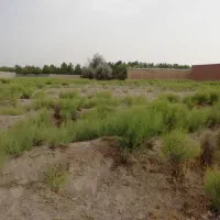 فروش حق الورثه