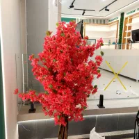 درختچه شکوفه