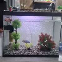 آکواریوم بزرگ