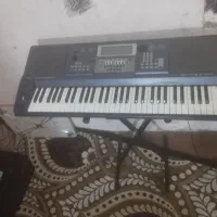 موکو ۵۰۰۰ هزار درحد