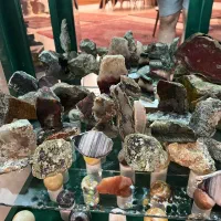 یه مجموعه شجر عالی