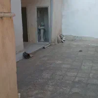 رهن واجاره خانه۱۰۰متری محدوده چناران۳۵
