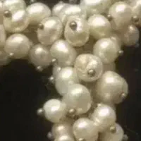 سرویس مروارید دریا