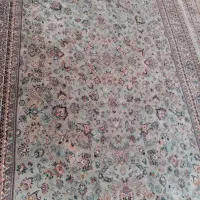 قالی فیلی بدون هیچ مشکل
