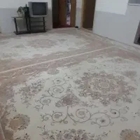 سوئیت-شیک-و-تمیز