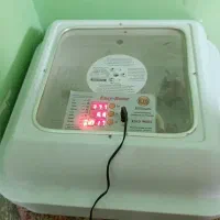 دستگاه جوجه کشی
