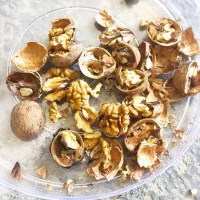 گردو|عمدهفروشی|ربط, |دیوار