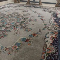 فرش 12متری|فرش|پرند, فاز ۴|دیوار