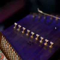 سنتور استاد داریوش سالاری