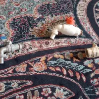 شیر گازی وسر شیر سالم