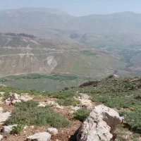 زمین داریوش محمدی