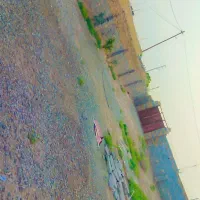 اجاره منزل|اجارهٔ خانه و ویلا|ایوانکی, |دیوار