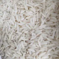 عرضه مستقیم برنج ایرانی سرگل|خوردنی و آشامیدنی|شاهرود, |دیوار