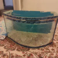 آکواریوم