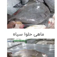 کار ساده نیاز داریم برای دست فروشی