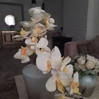 گلدون تزیینی با گل ارکیده