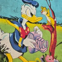 فرش کودک|فرش|قیامدشت - خاورشهر, |دیوار