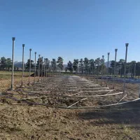 معاوضه ۶/۷۰۰م زمین گلخانه ای با آپارتمان ماشین ...