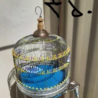 قفس طرقه سهره و قناری