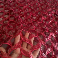 تور پولکدوزی مجلسی