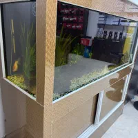 آکواریوم با شیشه ۱۰ میل