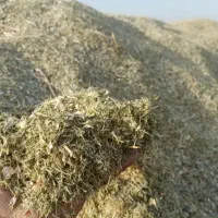 کاه لوبیا قرمز